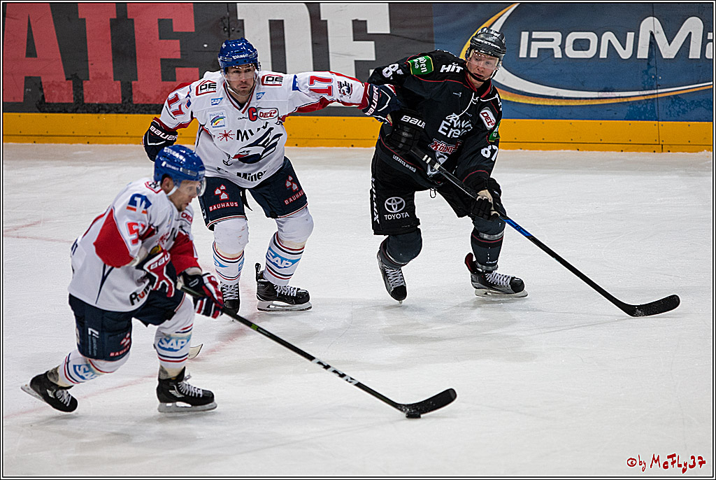 DEL, Koelner Haie - Adler Mannheim, 05.02.2017